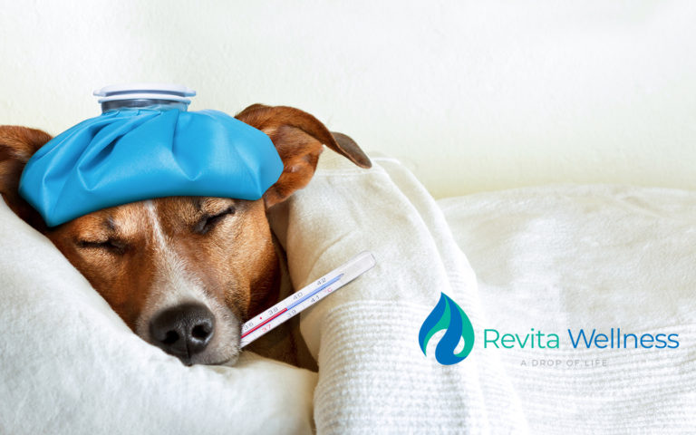 Read more about the article Reforzando tu Sistema Inmunológico contra la Influenza: Cómo las Vitaminas Pueden Ayudarte a Combatirla y Recuperarte más Rápidamente